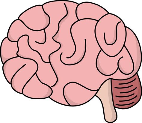 brain clip art|free printable brain clip art.